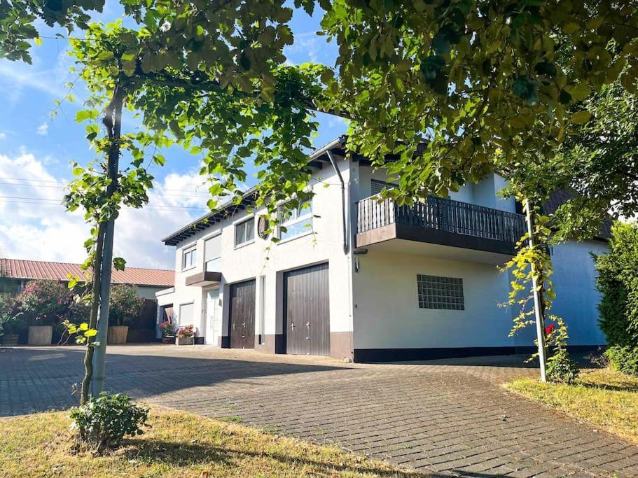 Apartment 100 Qm Im Weindorf - Balkon/Garage Aspisheim 外观 照片