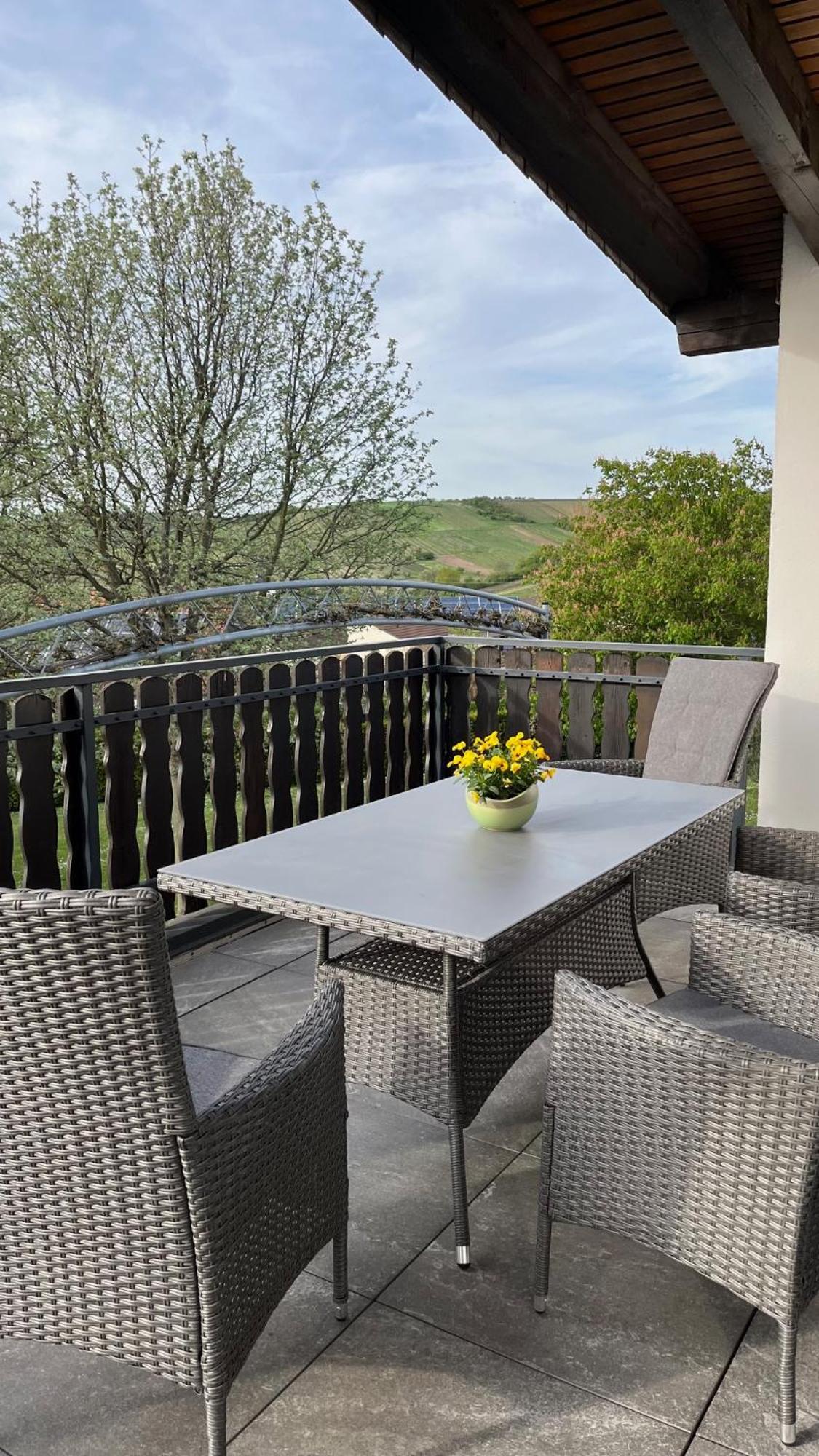 Apartment 100 Qm Im Weindorf - Balkon/Garage Aspisheim 外观 照片